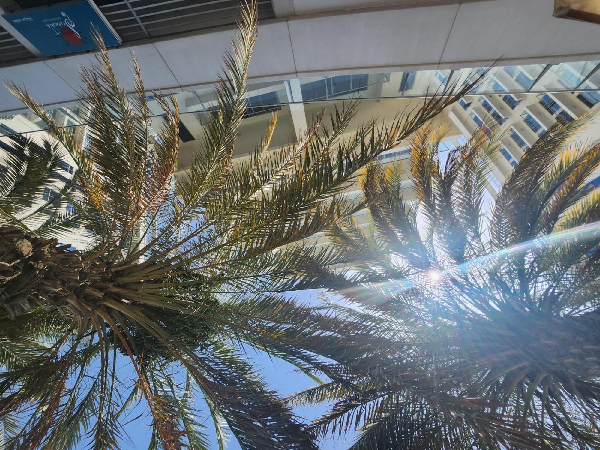 Marjan Island Beautiful Apartment Sea Side View Beach Luxury Rooms Ras Al Khaimah Uae Exterior foto